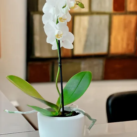 ホテル Sm サン アントニ バルセロナ