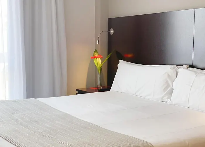 Hotel Sm Sant Antoni