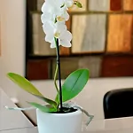 Hotel Sm Sant Antoni Barcelona